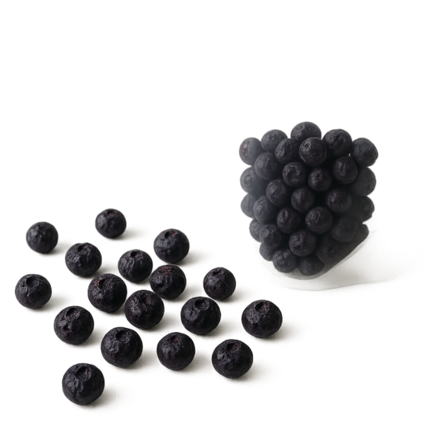 Dehydrated Blueberry – Premium Grade A